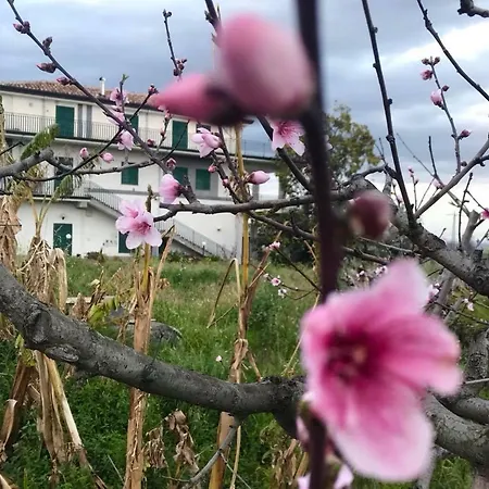 Casa Rosario * Riposto